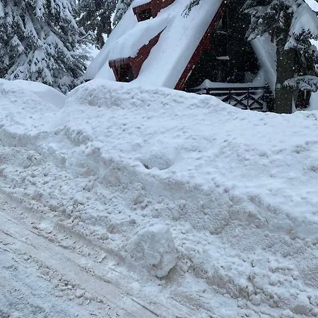 Tea 木屋 *