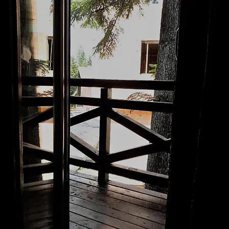 Tea 木屋 亚霍里纳